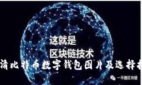 高清比特币数字钱包图片及选择指南