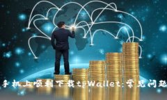 如何在苹果手机上顺利下载tpWallet：常见问题及解