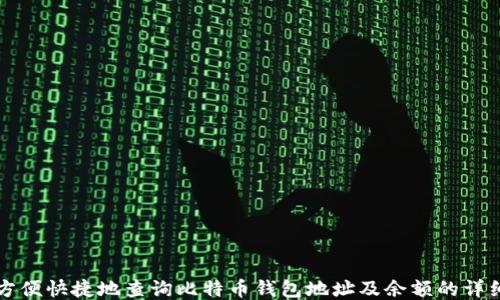 
如何方便快捷地查询比特币钱包地址及余额的详细指南
