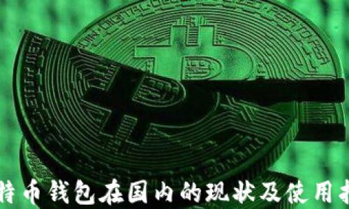 
比特币钱包在国内的现状及使用指南