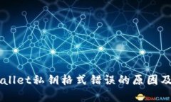 了解tpWallet私钥格式错误的原因及解决方案