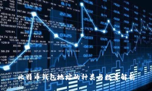 比特币钱包地址的种类与数量解析