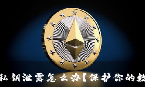   
以太坊钱包私钥泄露怎么办？保护你的数字资产安全