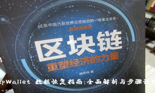 tpWallet 数据恢复指南：全面解析与步骤说明