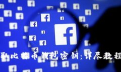如何安全提取比特币钱包密钥：详尽教程与注意