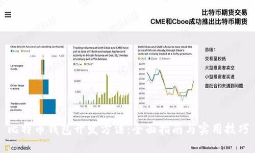 比特币钱包开发方法：全面指南与实用技巧