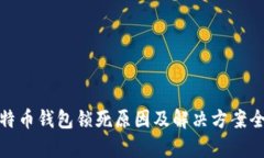 : 比特币钱包锁死原因及解