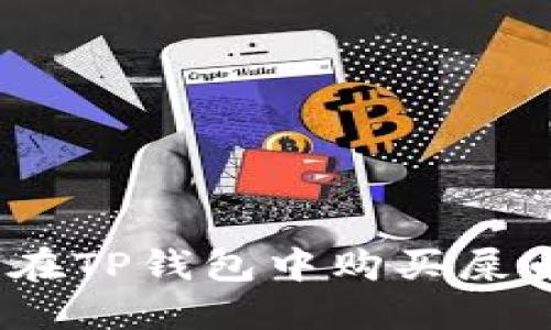 riaoti如何在TP钱包中购买屎币：完整指南