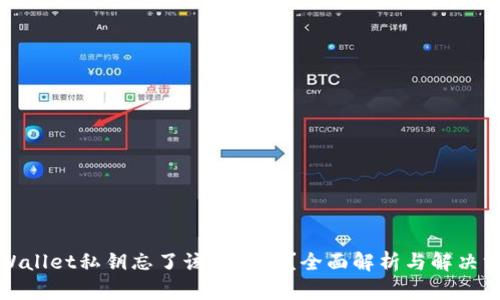 tpWallet私钥忘了该怎么办？全面解析与解决方案