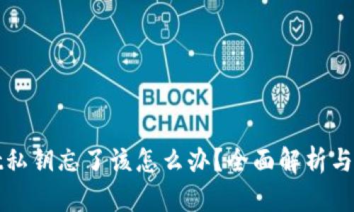 tpWallet私钥忘了该怎么办？全面解析与解决方案