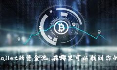 : 探索tpWallet的资金池：在