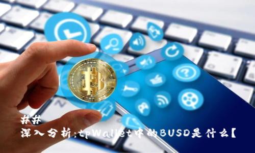 ## 
深入分析：tpWallet中的BUSD是什么？