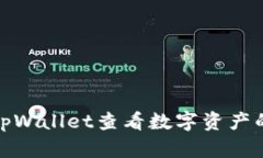 如何通过tpWallet查看数字资