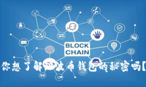 你想了解瑞波币钱包的秘密吗？